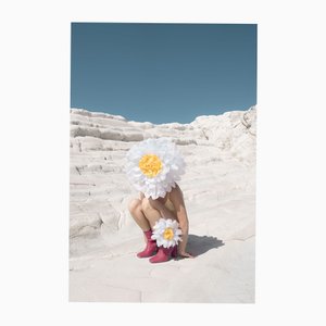 Carla Sutera Sardo, Daisy Girl, 2025, Photographic Print