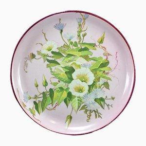 Hand-Painted Bindweed Wall Plate by Creil & Montereau