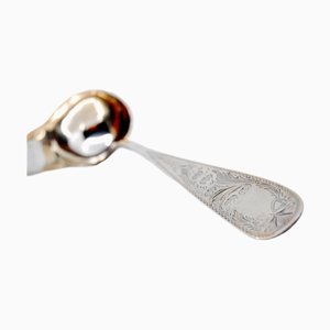 Silver Sauce Ladle with Plant Engravings on the Handle