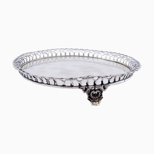 Silver Tray with Rack Resting and Raised Feet