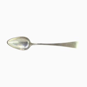 Rice and Serving Spoon in Silver