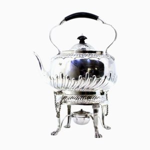 Wasserkocher aus gummiertem Silber mit Lampe, Holzgriff und klauenförmigen Füßen
