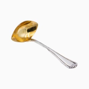 Silver Sauce Spoon for Ambidextrous Users
