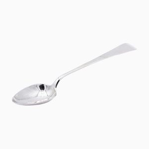 Silver Rice and Serving Spoon