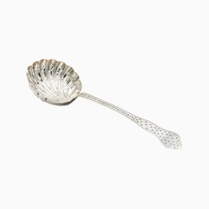 Silver Spoon for Sprinkling