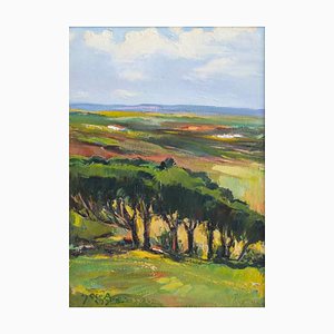 Jose Videira, Landschaft, Öl auf Platex