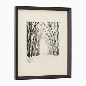 Marcel Bovis, Verve Magazine Landscape, 1930s, Photogravure, Framed