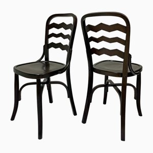 Stühle im Thonet Stil, 1950, 4 . Set