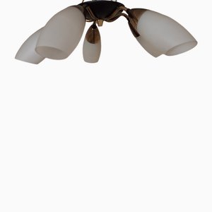 Flat Mid-Century Ceiling Lamp with Black Lacquered Metal Frame