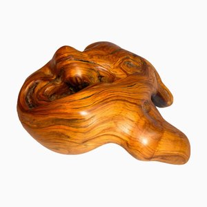 Objet de Décoration S1271 en Bois d'Olivier par Jörg Pietschmann