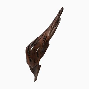 S1100 Decorative Object in Tropical Driftwood by Jörg Pietschmann