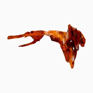 S1090 Decorative Object in Mastix Bush Root Wood by Jörg Pietschmann