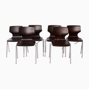 Pagwood German Chairs in Chrome & Plywood from Flötotto, 1970s, Set of 6
