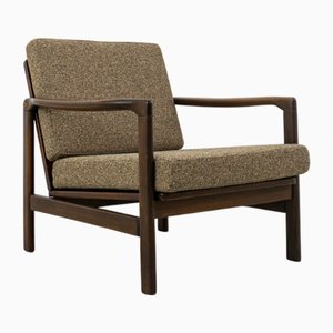 Mid-Century Armchair by Zenon Bączyk, Poland, 1960s
