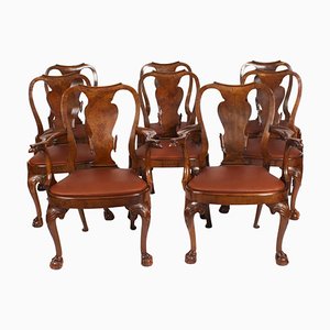 Vintage Queen Anne Revival Dining Chairs in Burr Walnut, 1950s, Set of 8