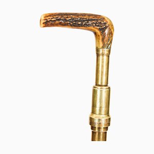 Antique Helixophiles Novelty Walking Stick, 1800s