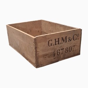 Scatola da champagne di GH Mumm & Co., inizio XX secolo