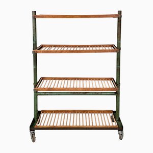 Italienischer Industrieller Wagen aus Holz & Grünem Metall, 1920er