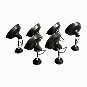 Pelican Wall Lights by Eleanor Home, Set of 6