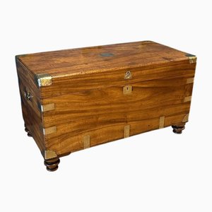 Antike Box aus Kampferholz, 1890er