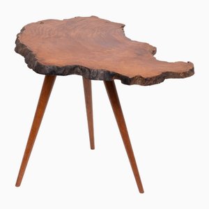 Mid 20th Century Tree Trunk Side Table, 1950