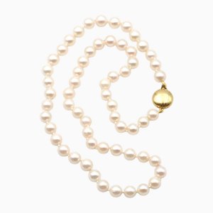 JKA Cultured Pearl Necklace