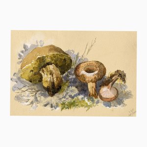 ERP, Mushroom Milkcap (Lactarius), 1868, Aquarell