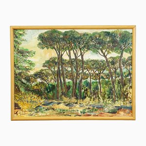 Alexander Michael, Pine Grove Near Ostia, Italy, 1973, Oil Painting