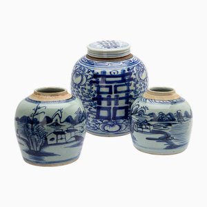 Zenzero, Cina, inizio XIX secolo