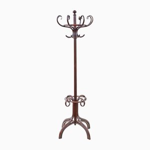 Grand Portemanteau d'Entrée Antique en Bois Courbé, 1890s