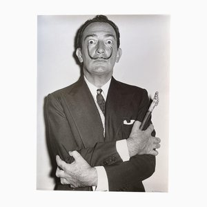 André Villers, Salvador Dali, Fotografie