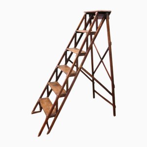 Antique French Decorators Ladder, 1900