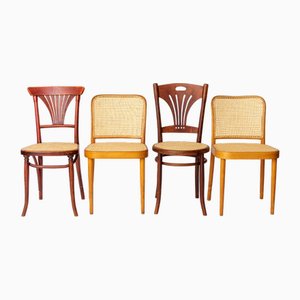 Viennese Café Chairs, Set of 4