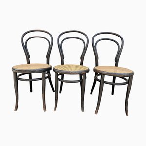 Bistrot Stühle von Michael Thonet für Thonet, 1860, 3er Set