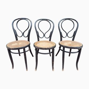 N14 Fischel 19er Thonet Stil Bistrostühle, 1860, 3 . Set