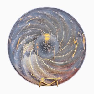 Opalescent Crystal Decortic Plate