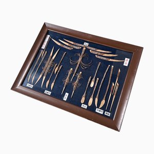 Framed Japanese Ujo Yōji Toothpicks and Spoons Display, 1960s