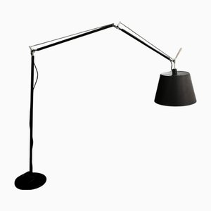 Tolomeo Mega Terra Floor Lamp from Artemide, 2000s