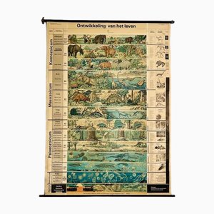 Carte Scolaire The Development of Life Vintage, 1969