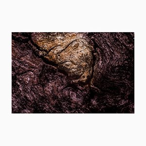 Marko Milić, Howl of Terror, Abstract Photography