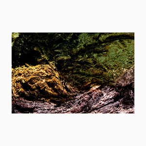 Marko Milić, Mythical Beast, Abstract Photography