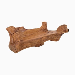 Carved Wood Bench by Logniture