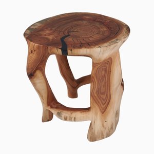 Satyrs Wood Sculptural Side Table by Logniture