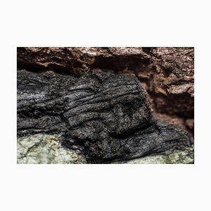 Marko Milić, Stone Lion, Abstract Photography