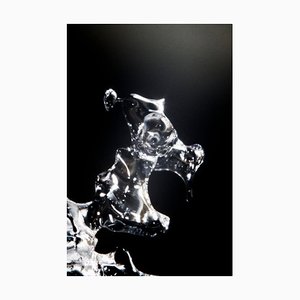 Marko Milić, Rex, Abstract Photography