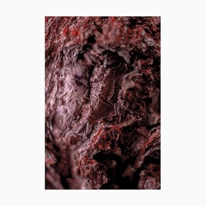 Marko Milić, Cocoon, Abstract Photography