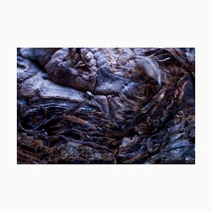 Marko Milić, Hydra, Abstract Photography
