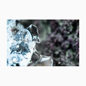 Marko Milić, Repentance, Abstract Photography