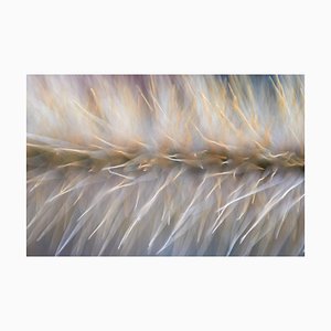 Marko Milić, Overdrive, Abstract Photography