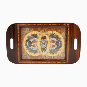Vintage Morpho Schmetterlingstablett, 1940er